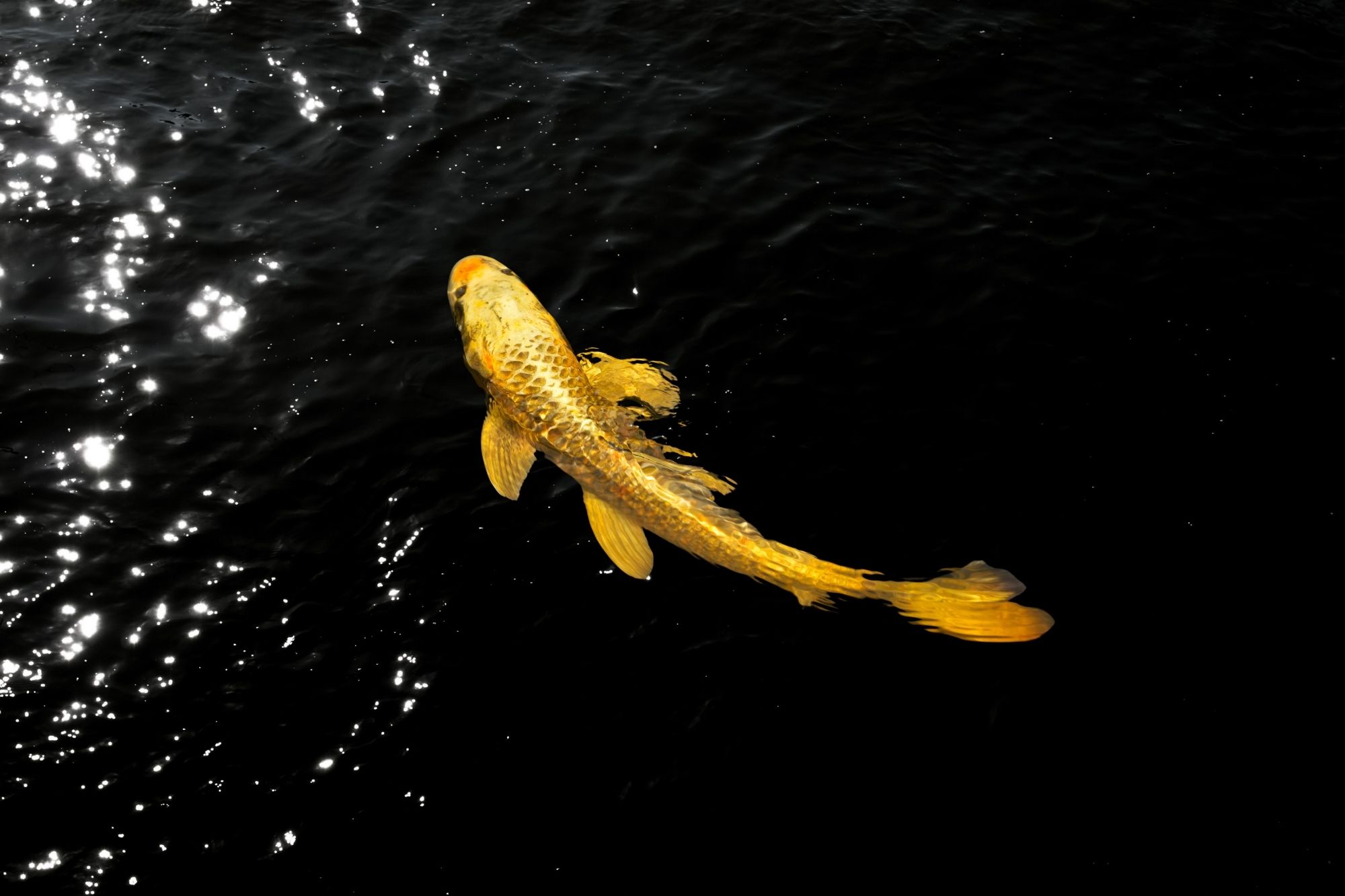 Built on Trust and Value